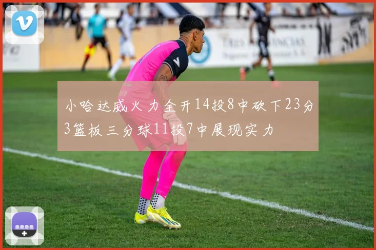 小哈达威火力全开14投8中砍下23分3篮板三分球11投7中展现实力