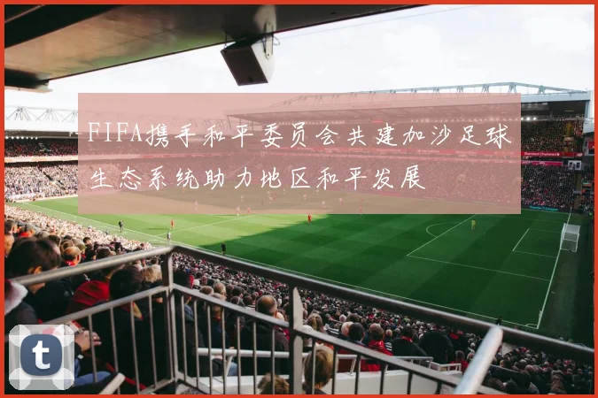FIFA携手和平委员会共建加沙足球生态系统助力地区和平发展
